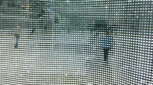 Север Главная 1 ворота 30.01