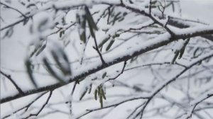 Снега...Стихи Георгия Иванова, муз. Олега Лебедева исп Игорь Донской Харабет, клип - Людмила Ураева