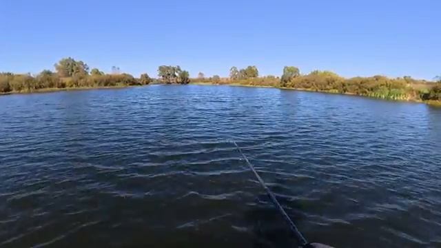 В ДЕРЕВЕНСКОМ ЗАРОСШЕМ ПРУДИКЕ ЩУКИ ОГОЛОДАЛИ И АТАКУЮТ ПРИМАНКИ РЫБАКОВ! Рыбалка. смотреть онлайн