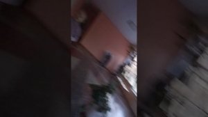 челленджи в школе