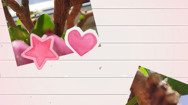 🐞 а за окном -15° смотреть онлайн