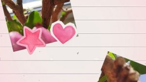 🐞 а за окном -15°