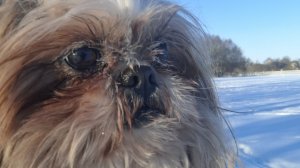 День.Прогулка