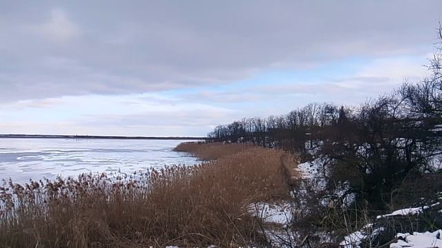 1000005483.mp4 смотреть онлайн