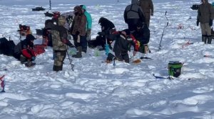 Поимка форели