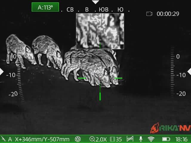 Кабан.Охота.Экономия патронов смотреть онлайн