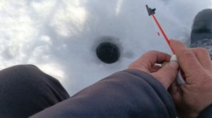 не ПРОСТОЙ водоем.РЫБАЛКА В ГЛУХОЗИМЬЕ.ЧАСТЬ1!!!