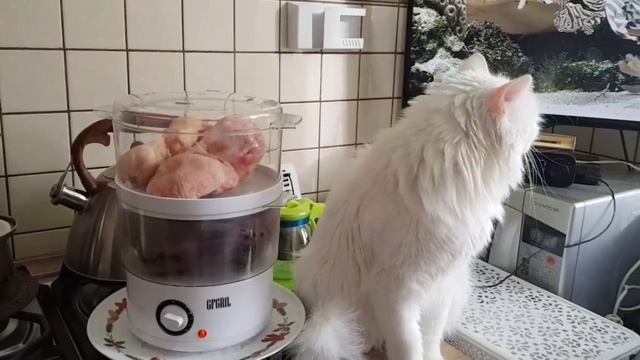 Леся и Сёма - У Сёмы другие интересы смотреть онлайн