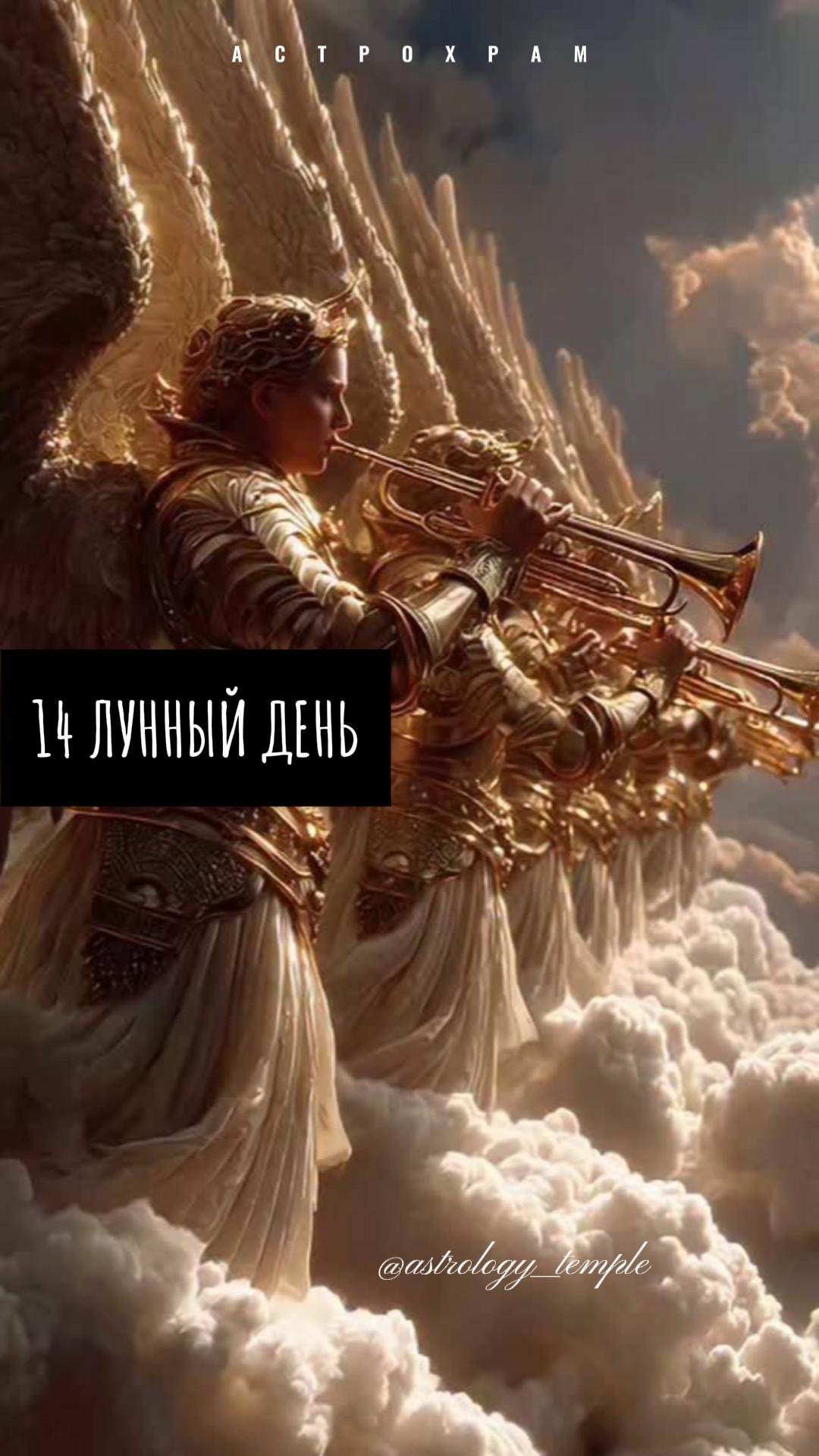 📅 ВС, 1.02.2026 🌛 14 лунный день | Растущая Луна во Льве 🪄 смотреть онлайн