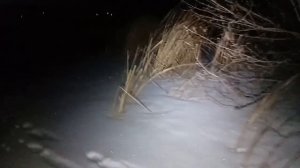 18 серия "Бурячок 2"