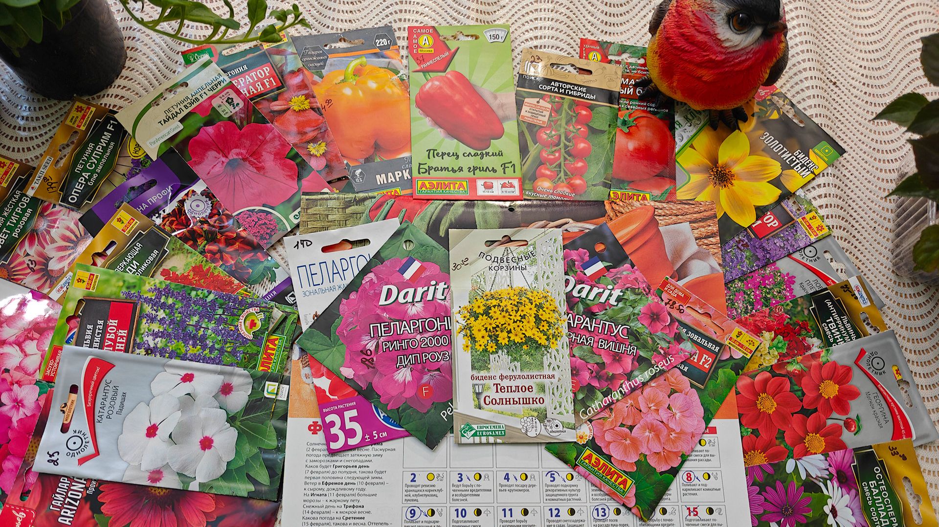 Что когда посадить и посеять в феврале! Лунный посевной календарь огородника на февраль 2026 смотреть онлайн