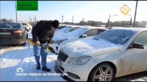 petal_20260131_113852.mp4