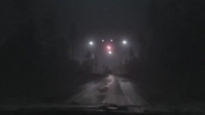 Старое видео с «гигантским треугольным НЛО» над лесом снова всплыло в сети