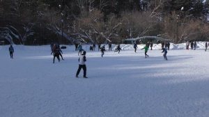 31.01.26 Локомотив-Краснообск 7-3 (первый тайм)