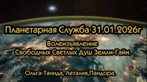 Планетарная служба 31 01 2026г Волеизъявление Свободных Светлых Душ Земли-Гайи