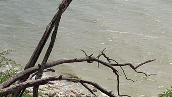 Азовское море смотреть онлайн