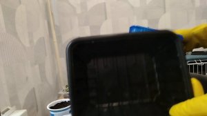 Сею петуньки. Моё сообщение.