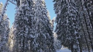 Чудо погода