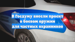 ЧОП хотят разрешить получать стрелковое оружие для защиты критических объектов