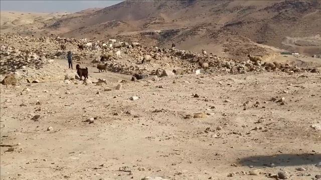 Археологи раскопали библейский Содом_ смотреть онлайн