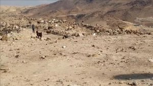 Археологи раскопали библейский Содом_