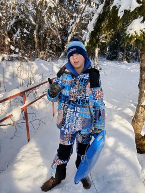 изучаем лес