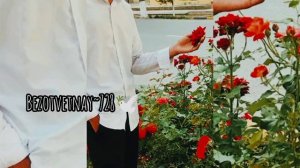 цыганская песня 2026 вся взаимно❤️🩹⚜️🕊