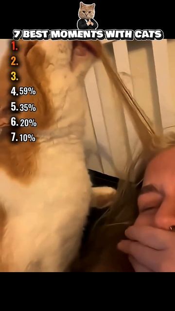 Ranking The Top 7 Funny Cat Moments🤣 #cat #shorts смотреть онлайн