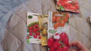 Обзор семян  томатов на 26 год.