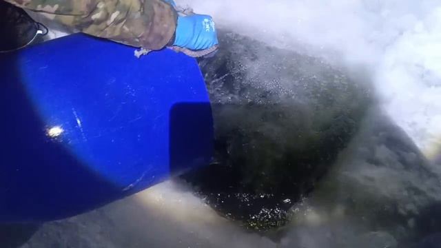 Доп запуск от 31.01.26