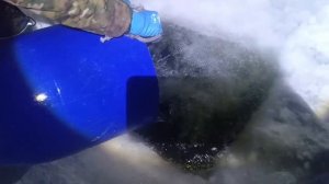 Доп запуск от 31.01.26