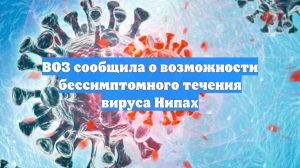 ВОЗ сообщила о возможности бессимптомного течения вируса Нипах