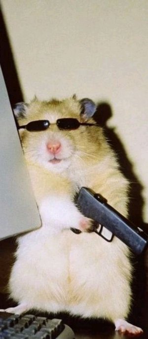 обзор на бабушкин дом