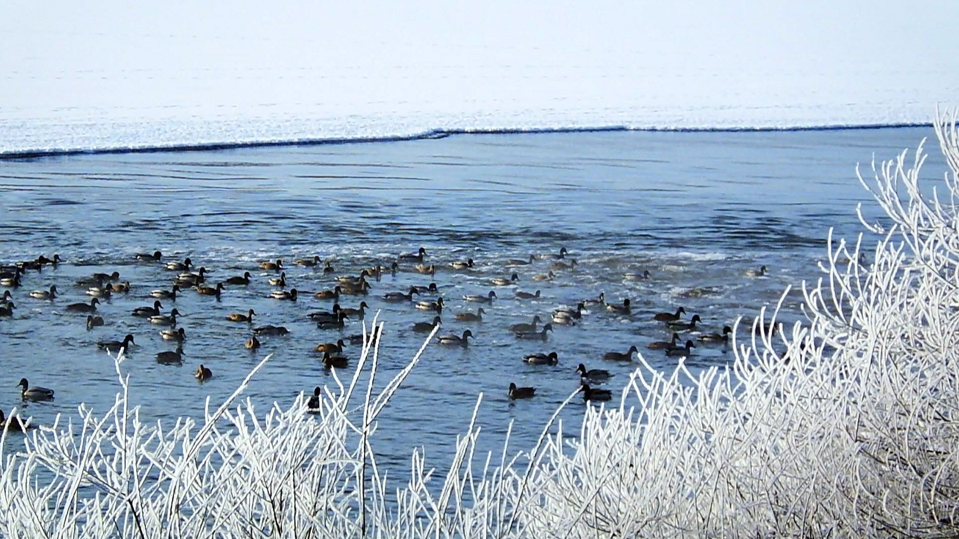 ОКА В КАЛУГЕ смотреть онлайн