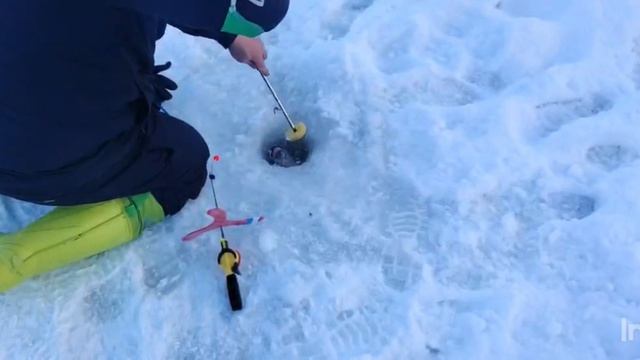 Спортзона.Поимки смотреть онлайн