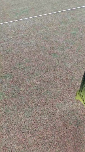 Поволжский овал