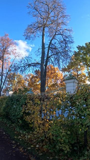 бабье лето смотреть онлайн