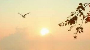 А в небе солнце выползает из-за тучи,  (1)