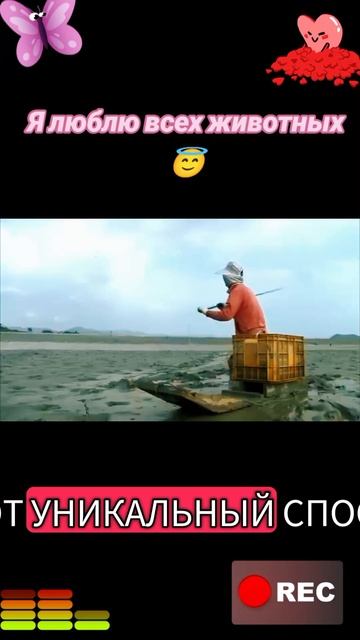 Я люблю всех животных😇 смотреть онлайн