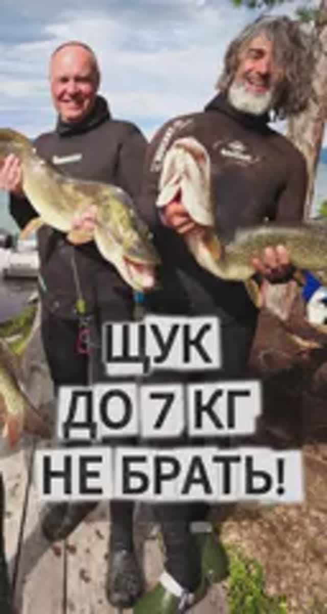 Приказ: ТОЛЬКО ТРОФЕИ 🔥