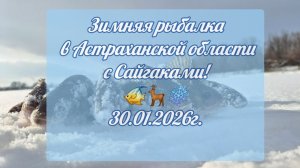Зимняя рыбалка в Астраханской области с Сайгаками 30.01.2026г.