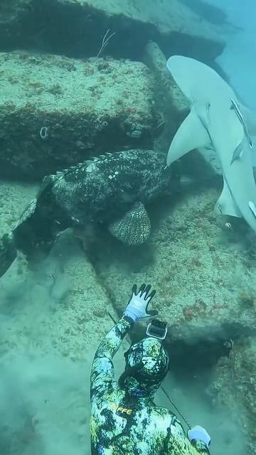 Опасное ныряние во Флориде.