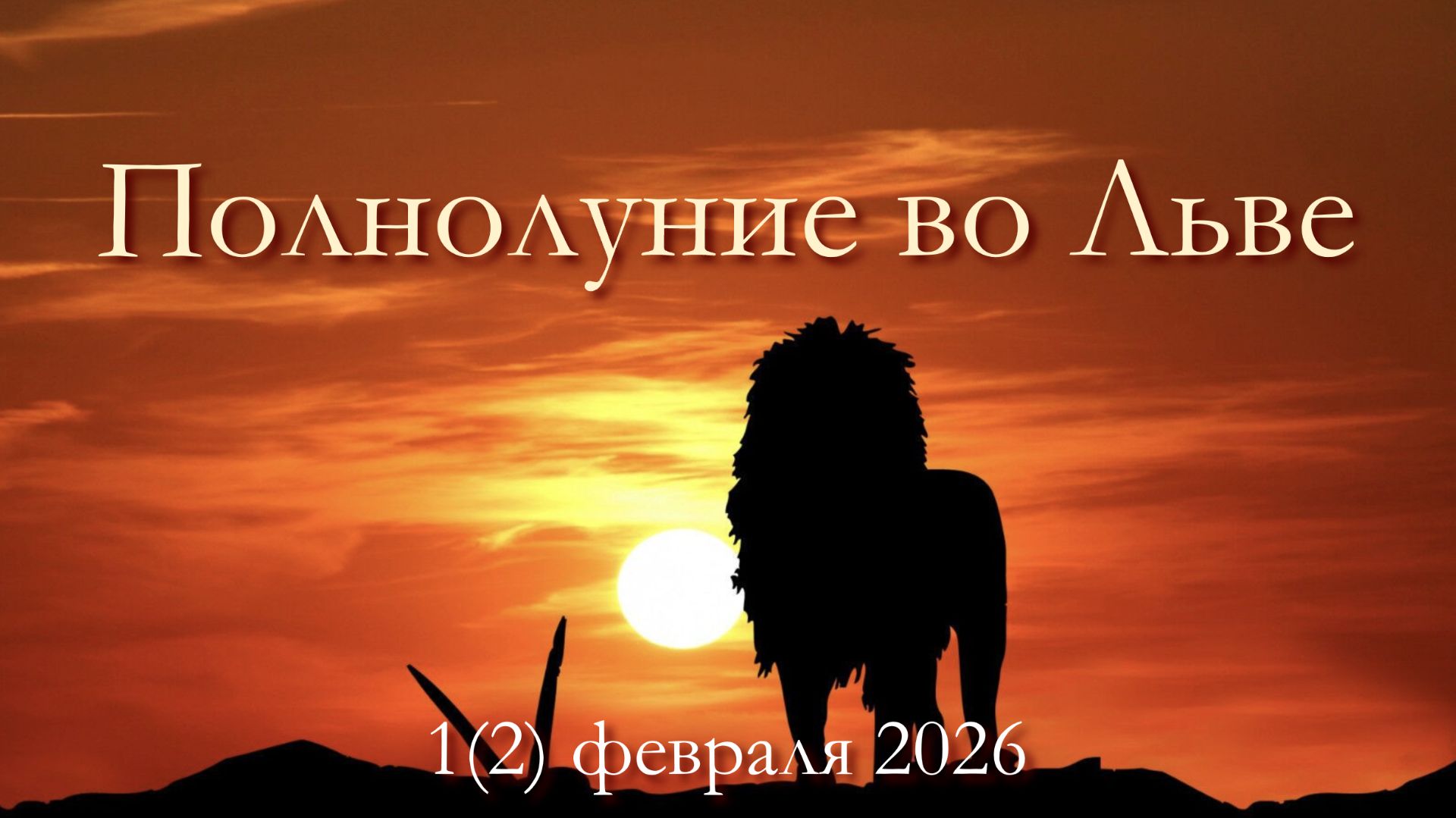 Грозное полнолуние. Меры предосторожности смотреть онлайн