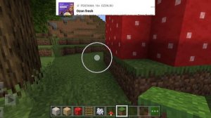 два дома гриба в майнкрафт