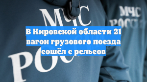 В Кировской области сошли с рельсов 15 вагонов грузового поезда