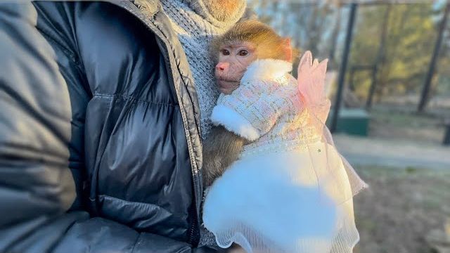 Друзья, у Люси 500 000 подписчиков! Прдарим Люсе МИЛЛИОН друзей! смотреть онлайн