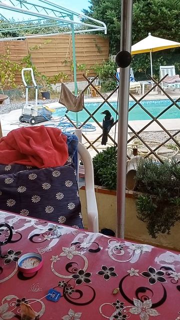 Чайный Пакетик? ФУ! Ищем Настоящий Квест!