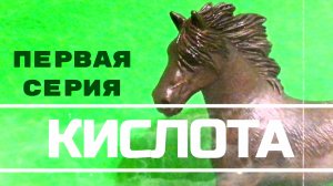 "КИСЛОТА". Первая серия. #Лошади шляйх.