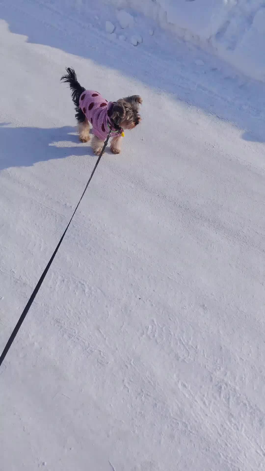 k смотреть онлайн