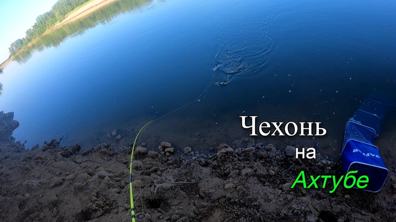 Ловля чехони в июле на реке Ахтуба